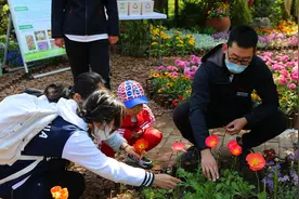 五一假期北京各公园余票几何？颐和园3日内近乎约满图片