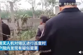 大妈在自家菜园种植600多株罂粟！和民警解释：为了给小鸡治病图片