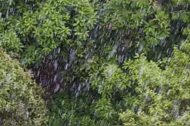 严阵以待！江苏各地各部门做好各项防汛工作迎接强降雨图片