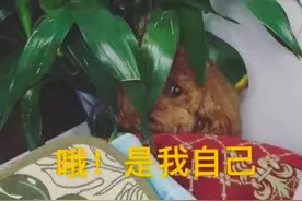 今天下午尽量别出门图片