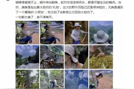 张馨予野外探险徒手抓蛇 网友：妥妥的“张大胆”图片