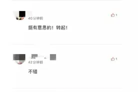 开赛3天了，这里个个都是人才图片