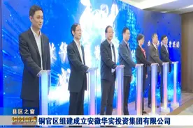 铜官区组建成立安徽华实投资集团有限公司视频封面