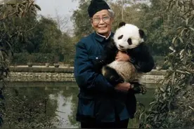 刀笔不辍半世纪，丹青风流源鲁艺：川美创始人吕林艺术展好评如潮图片