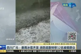 四川广元：暴雨冰雹齐至  消防疏散转移12名被困群众视频封面