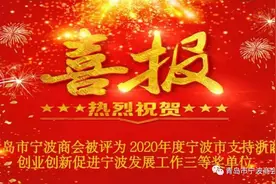 「宁波商会」青岛市宁波商会被评为2020年度宁波市支持浙商创业创新促进宁波发展工作三等奖单位图片