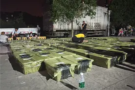 民生热线｜大量邮寄活体猫狗幼仔 成都现动物“盲盒”？图片