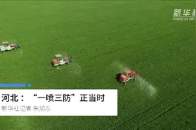 河北：“一喷三防”正当时视频封面