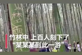 少林寺里出现令人愤怒一幕！数十人吊在竹子上荡秋千，上百人刻下“到此一游”图片