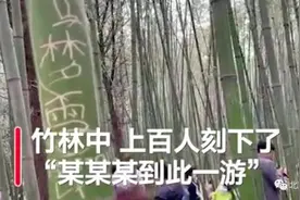 少林寺里出现令人愤怒一幕！数十人吊在竹子上荡秋千，上百人刻下“到此一游”图片