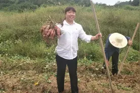 五四青年节丨年轻村官，争当乡村振兴“领头雁”图片