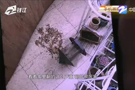 “大师兄”闯进杭州一老年公寓 翻窗进屋还偷吃的图片