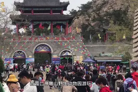 果然视频丨“五一”威海西霞口神雕山野生动物园“满”而有序视频封面