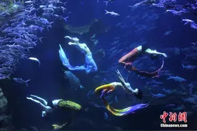 贵州贵阳：水下“美人鱼”舞姿引游客图片