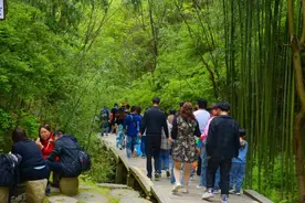 五一游商洛图片