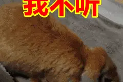 “五一”假期即将清零！别难过，最新的放假通知又来了图片