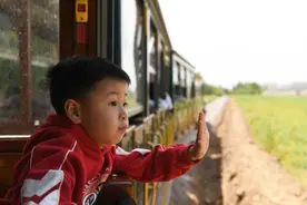 河北晋州：打造特色乡村游图片