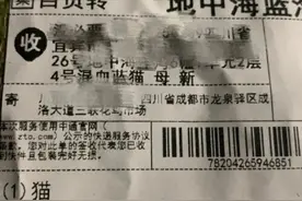 宠物盲盒太残忍！央视评：这是对人性的背离图片