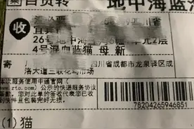 宠物盲盒太残忍！央视：这是对人性的背离图片