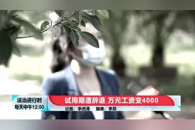 北京一女子在试用期遭辞退，万元工资变成四千图片