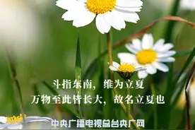 今日立夏，快乐的夏天又来啦图片