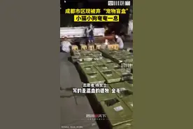 太残忍！数百只猫狗被当“盲盒”售卖！央视痛批图片