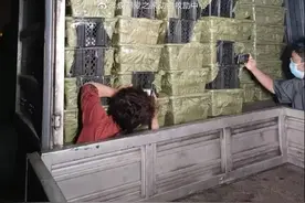 揪心！成都拦截上百“宠物盲盒”，许多猫狗已奄奄一息 中通快递回应图片