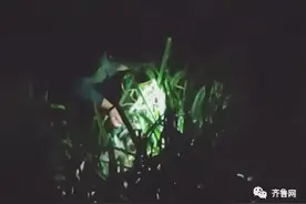 山东妈妈连夜挖40斤大蒜送返程女儿：她有俩孩子，省一点是一点图片