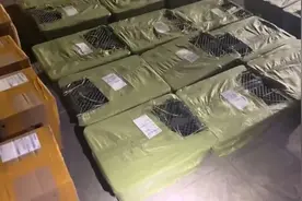 活体猫狗变宠物盲盒 带血生意怎成监管盲区？图片