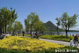热门景区华山湖：三成游客选择绿色出行，坐公交过来打卡图片