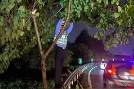 凌晨2点暴雨中，高速上这幕被刷屏！90后小伙：这是我过得最漫长的八分钟图片