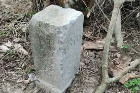 农民无意间移动比法界碑，比利时领土大了近1000平方米图片