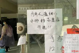 “宠物盲盒”事件后续：拦截的上百只小动物被转移到救助中心图片