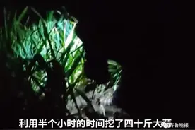 连夜挖40斤大蒜给返程女儿，看哭网友！妈妈：她有俩孩子，能省一点是一点图片