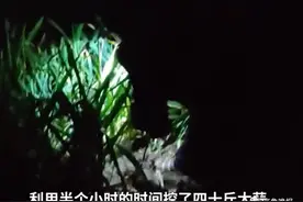 连夜挖40斤大蒜给返程女儿，看哭网友！妈妈：她有俩孩子，能省一点是一点图片