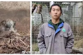 可可爱爱！红山动物园饲养员与动物越长越像图片
