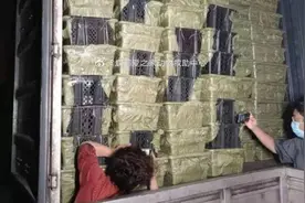 热点关注丨“成都宠物盲盒事件”后续：30只猫狗均携细小病毒 健康的猫狗将开放领养图片