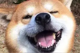 爱如潮水！“别亲了！”一对情侣海边激吻，旁人大喊叫停图片