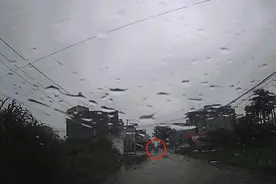 【覆车之戒】老人无证驾驶无牌低速四轮电车出事故，不仅要负全责，还被处罚了图片