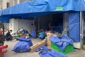 成都发现猫狗“宠物盲盒”：邮政监管部门正调查图片