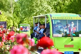 这个假期，合肥火爆空前图片