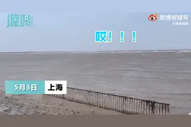 情侣游玩遇涨潮，岸边人员撕心大喊别亲了图片