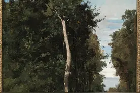 鉴赏｜莫奈与同行者：自然光影里，有他们取之不尽的灵感图片