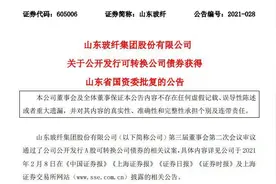 财看闪电｜山东玻纤发行不超过6亿元可转换公司债券获山东省国资委批复图片