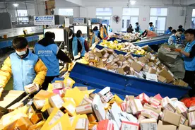 中通快递回应“宠物盲盒”事件图片