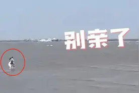 上海小情侣在水中热吻忘记上岸，保安急得喊到破音：别亲了！涨潮了图片