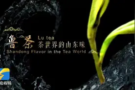 震撼发布！山东茶宣传片（英文版）亮相农业农村部、斯洛文尼亚驻华大使馆共同举办的世界蜜蜂日和国际茶日联合活动图片