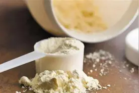 如何选择蛋白粉