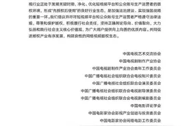 月赚数万的“二创”要凉凉？短视频追剧引发版权大战图片