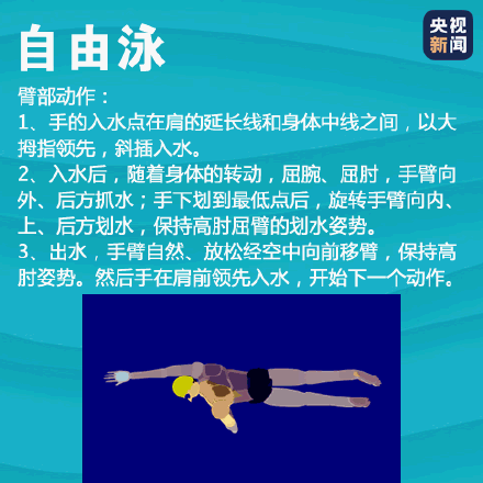 学习最基础的蛙泳 记住这个顺口溜